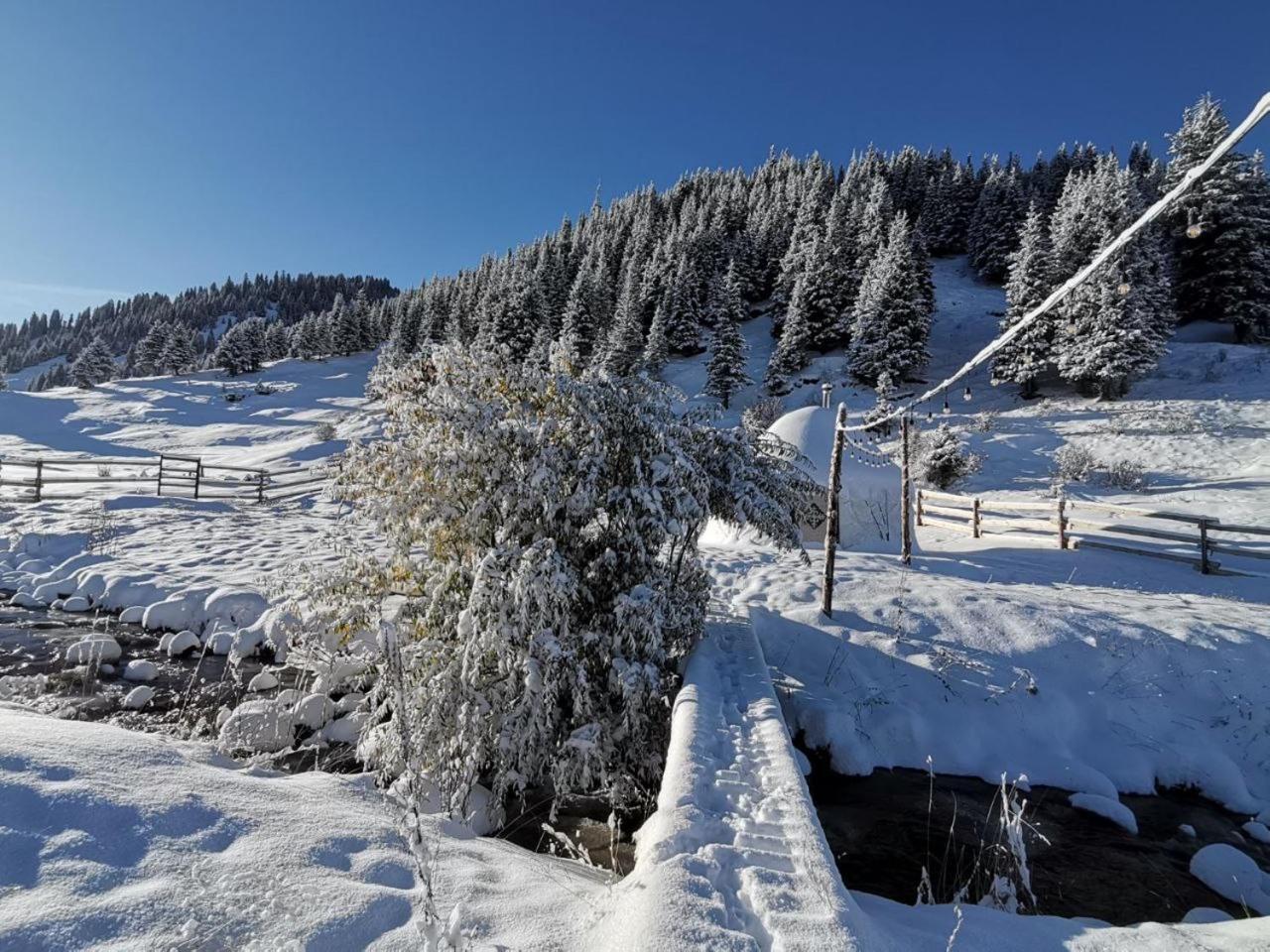 Mine Hostel Dzhergalan Jyrgalan Dış mekan fotoğraf