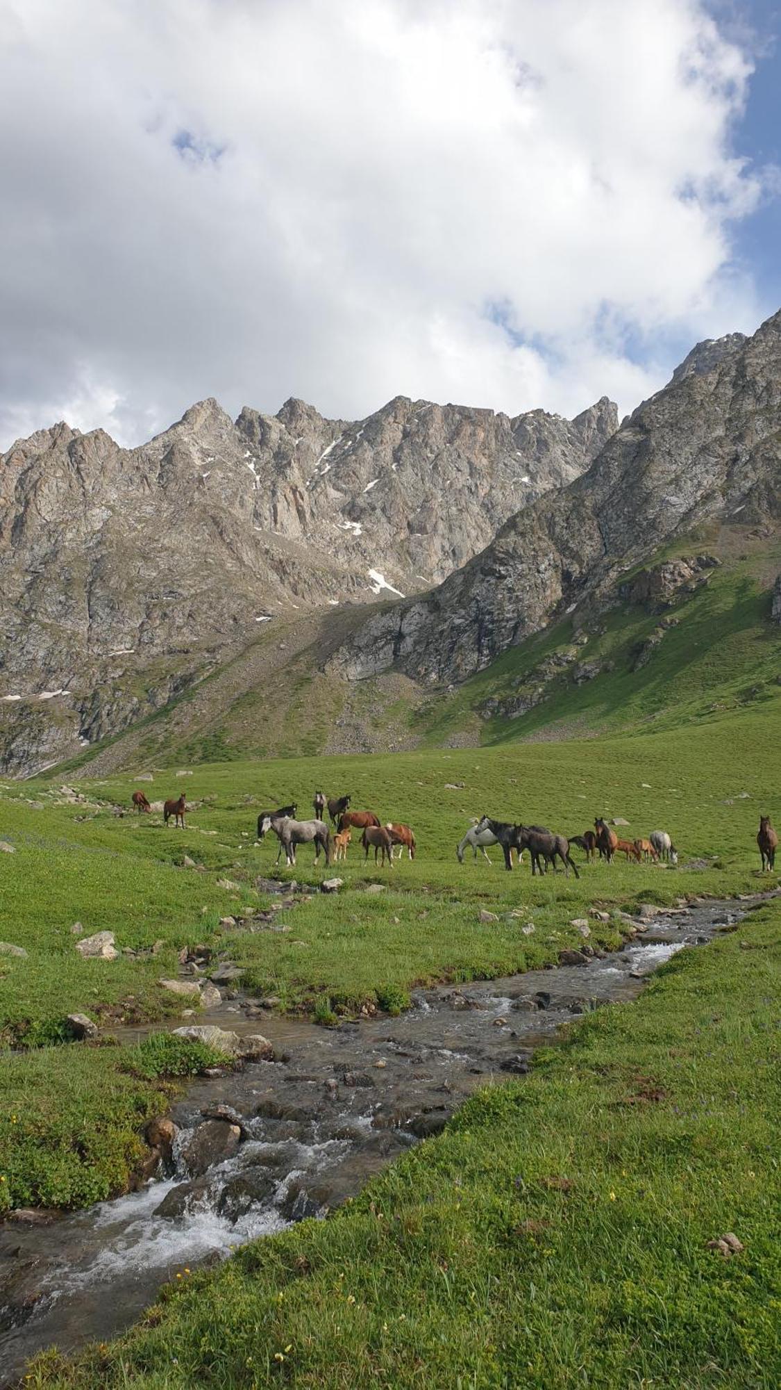 Mine Hostel Dzhergalan Jyrgalan Dış mekan fotoğraf